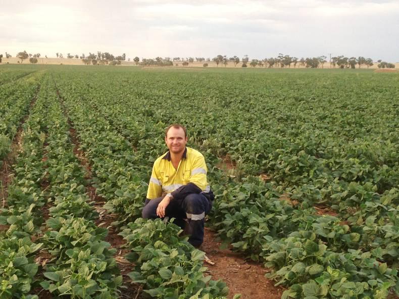 Some harvesting done but more to do in New South Wales