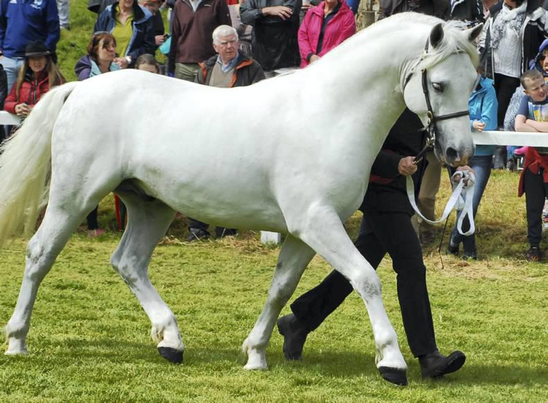 CPBS outline events for 2016  