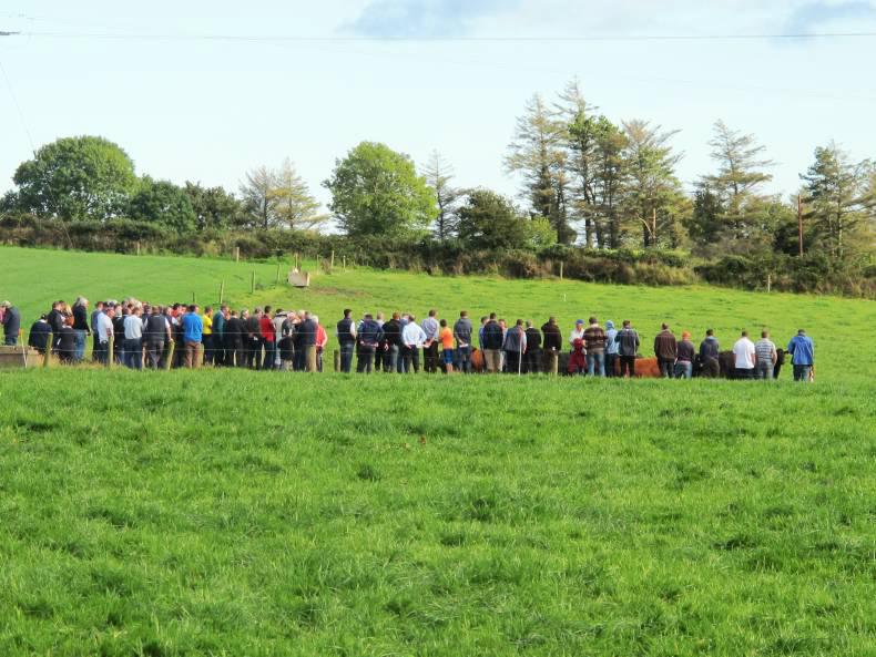 BETTER farm profit monitor results, system by system