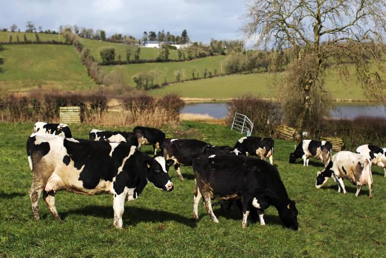 2015 land prices in Cavan: Healthy level of activity