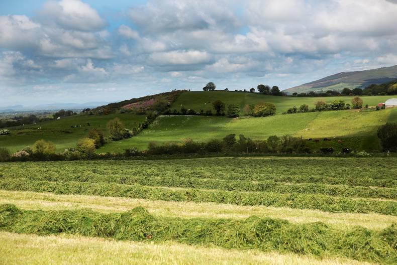 2015 land prices in Limerick: Land supply hardest hit