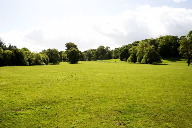 2015 land prices in Mayo: Downward trend in supply continues