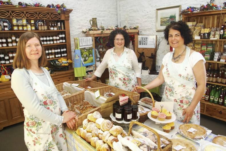 Two initiatives to be launched under CEDRA in 2016 