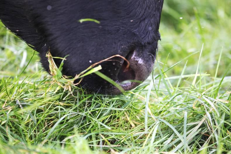 EXCLUSIVE: 20% of farmers have stopped levies