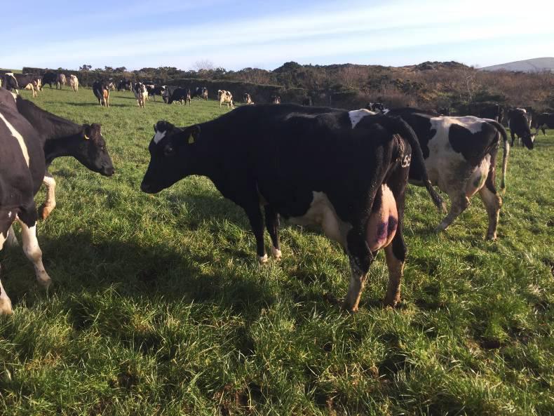 Lie of the land in Co Donegal