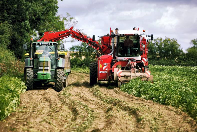 General election 2016: Small but intensive farming in Dublin