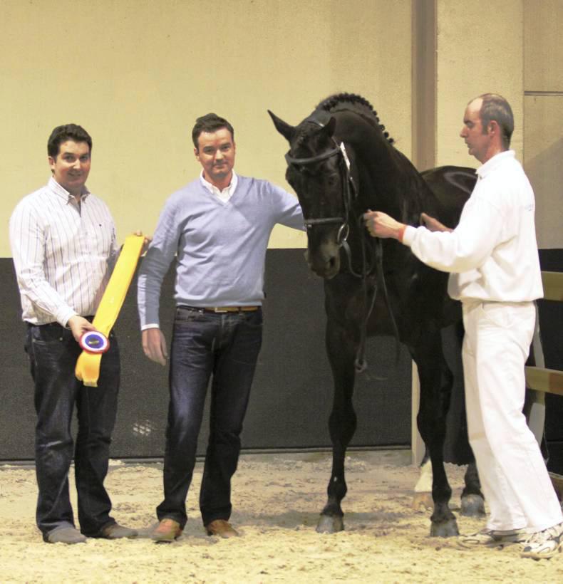 Breeding: where art meets science 