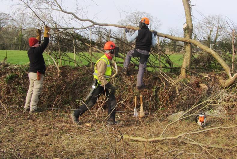 Farmer writes: spring has sprung