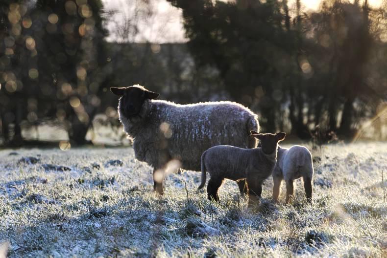 Weekend weather: cold weather to continue through to next week