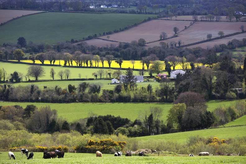 2015 Agricultural Land Price Report