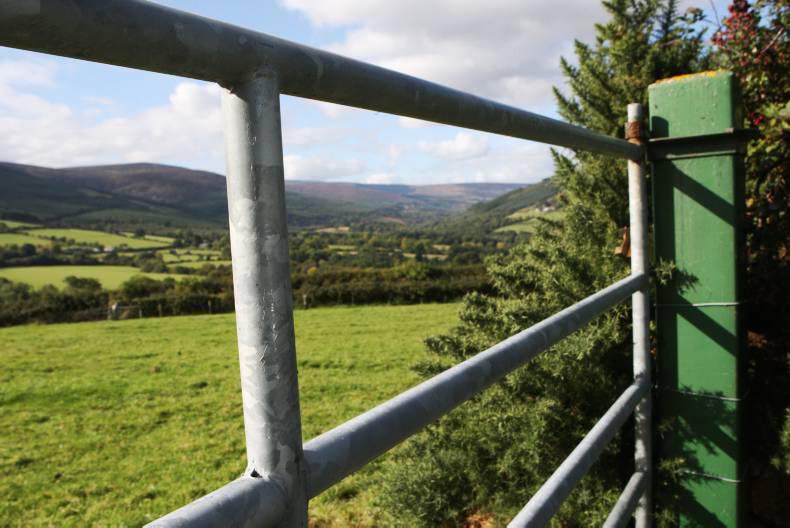 Tipperary farm robbery: 'I'm afraid to go down to the cows calving at night' 