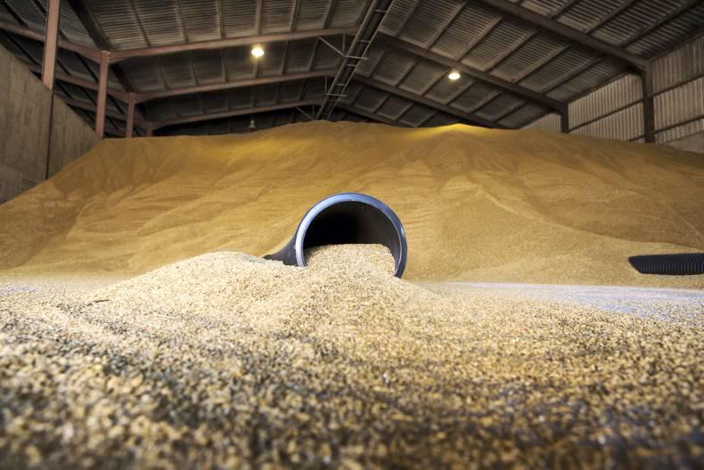 Friday grain market update: Wild swings in Euro affecting markets