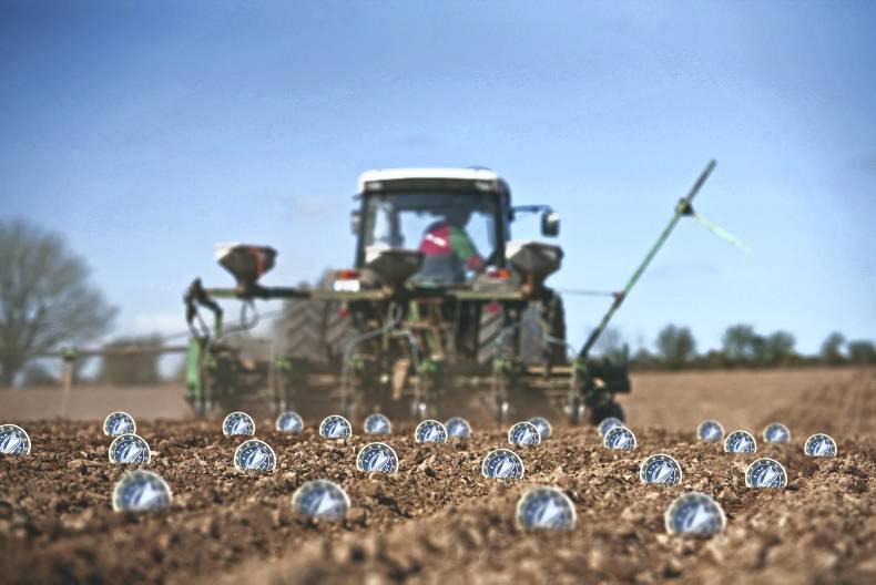 21st century sugar industry is not as lucrative as it was in the 90's