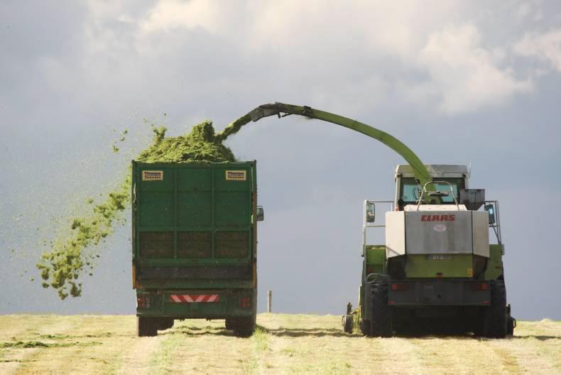 Contractors ready to take on the challenge