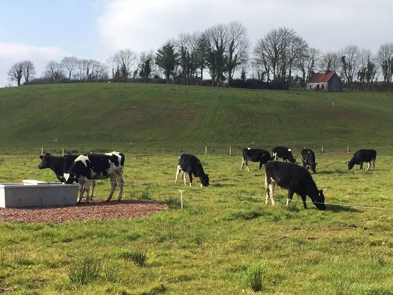 Land reclamation progress in Co Roscommon