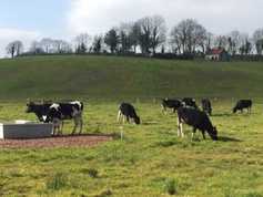 Land reclamation progress in Co Roscommon Land reclamation progress in Co Roscommon