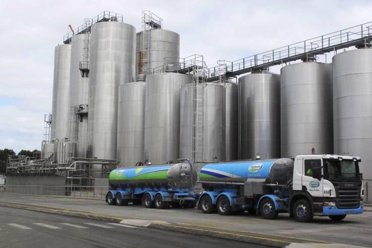 Dairy futures market: futures remain steady despite last week’s GDT fall