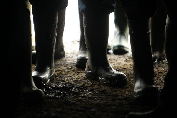 528 farmers cancel IFA membership