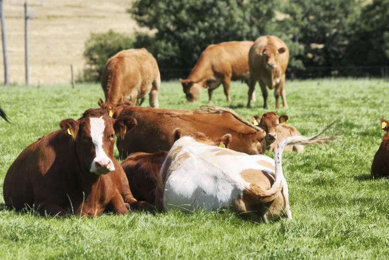 The three Ps of long-term leasing 