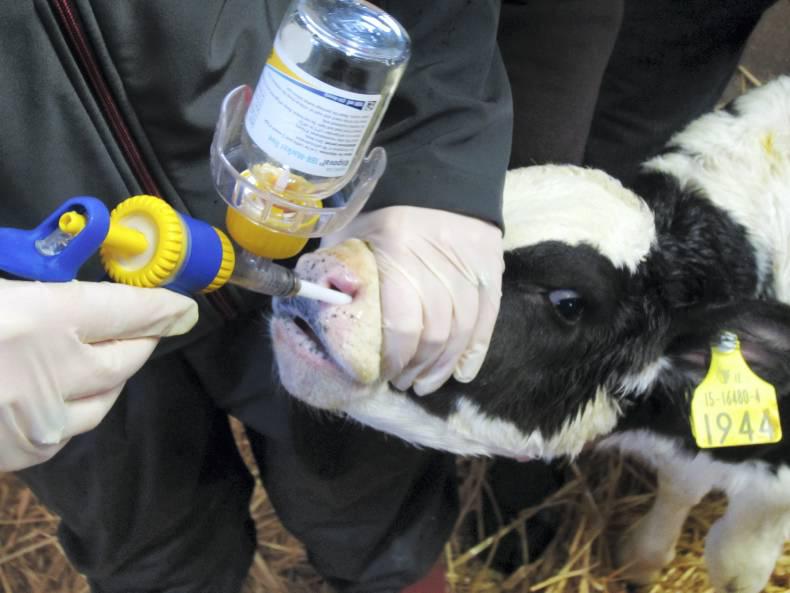 Zoetis moves international HQ to Dublin