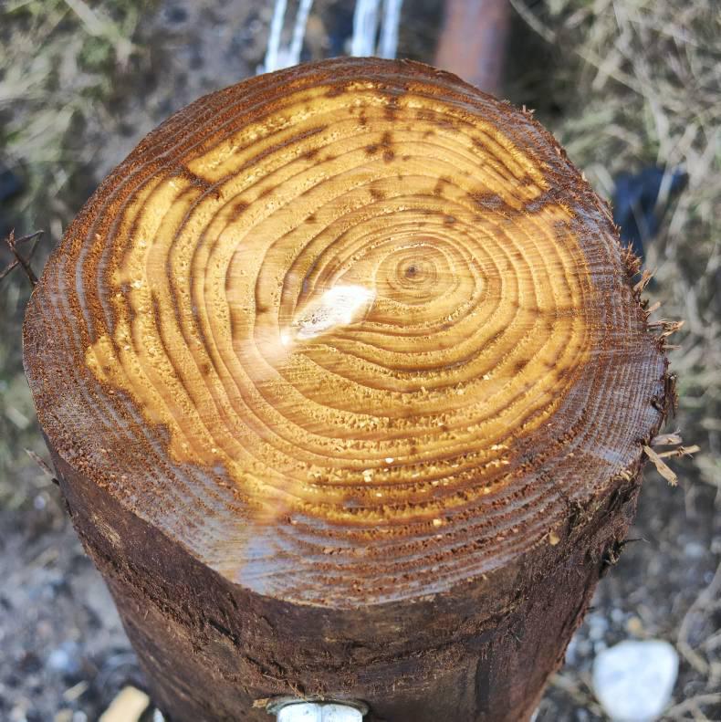 Coveney must introduce new TAMS II measures now