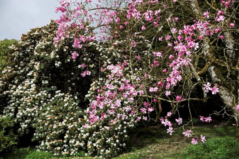 Farming with nature in mind: time for the butterflies and the birds 