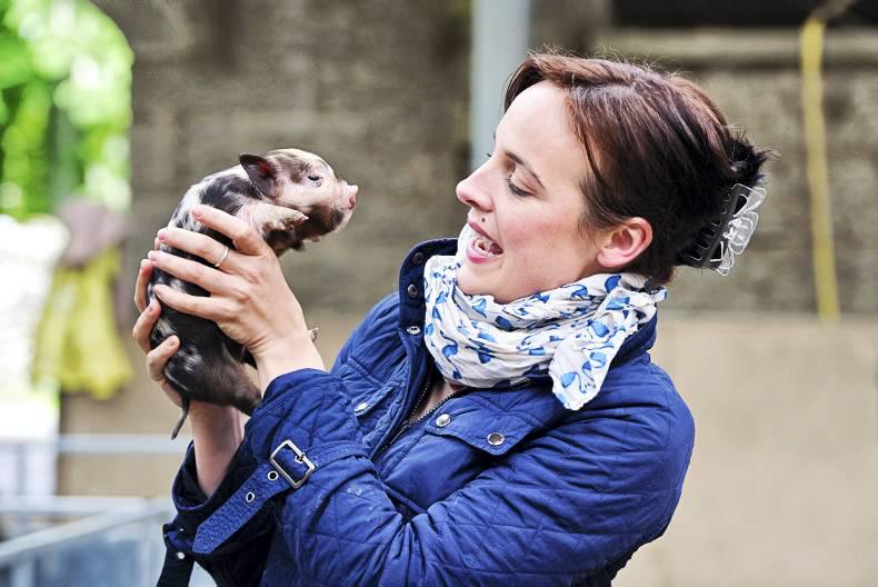 New live farming show from RTÉ hits tv screens this week