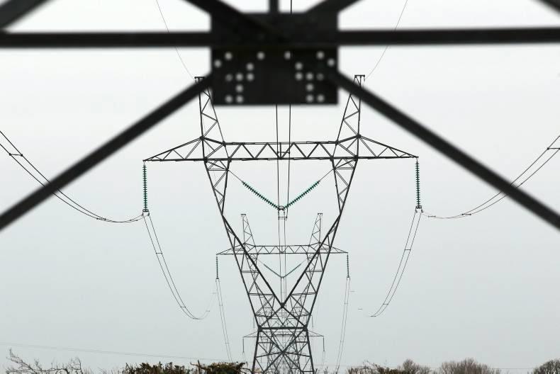 ‘Pylons would cause €600m devaluation in farms, land and property’ - opponents