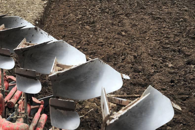 We need a PSA scheme for barley -  IFA grain chair Liam Dunne