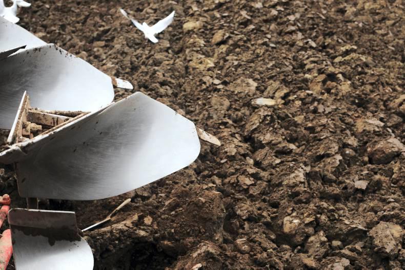 Business sense: Cashflow Challenge Tillage 