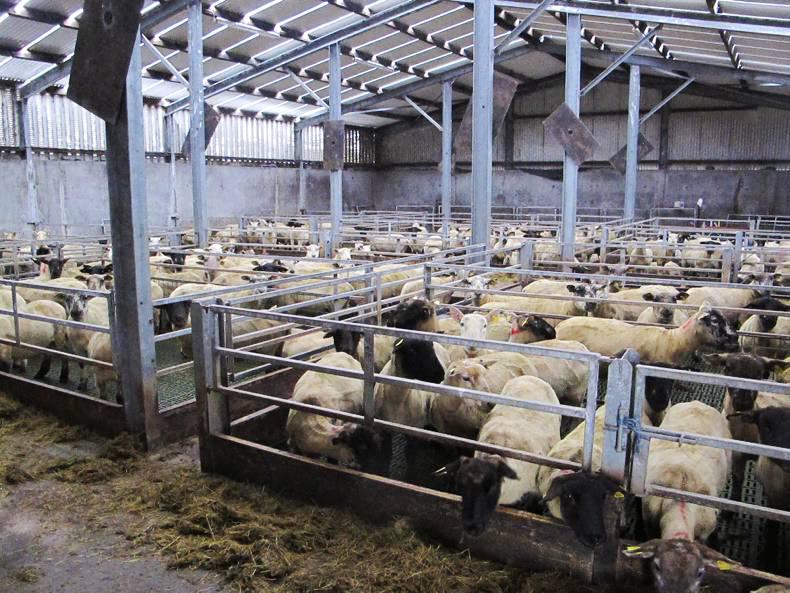 Over 5,000 farmers have applied to TAMS II