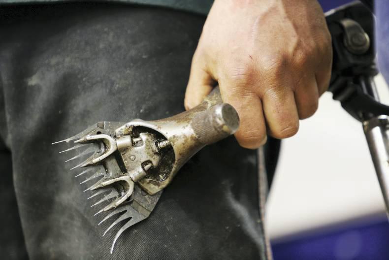 No fleecing: shear and win a two-night hotel break in Co Mayo