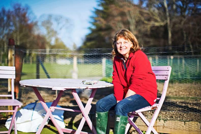 Trials and tribulations of a novice gardener