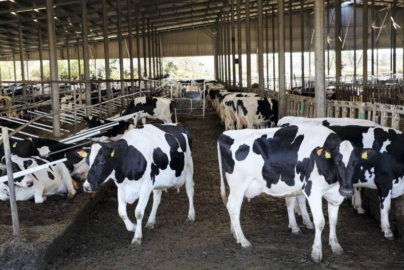 Second Cradenhill auction begins behind closed doors