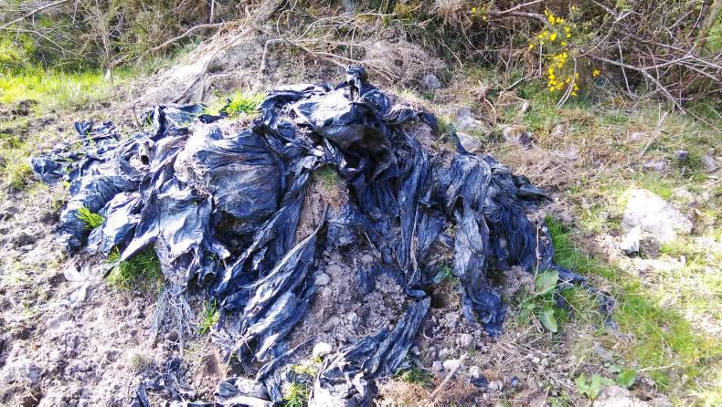 Get the right person for the arrangement