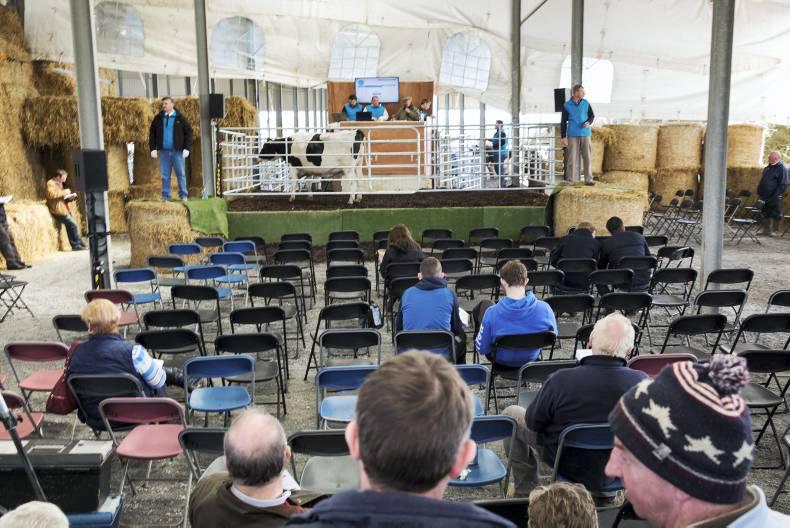 Second crack at Cradenhill sale