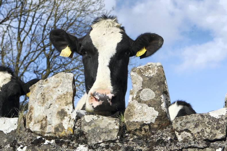 Irish Farmers Journal breakfast news: Thursday 28 April
