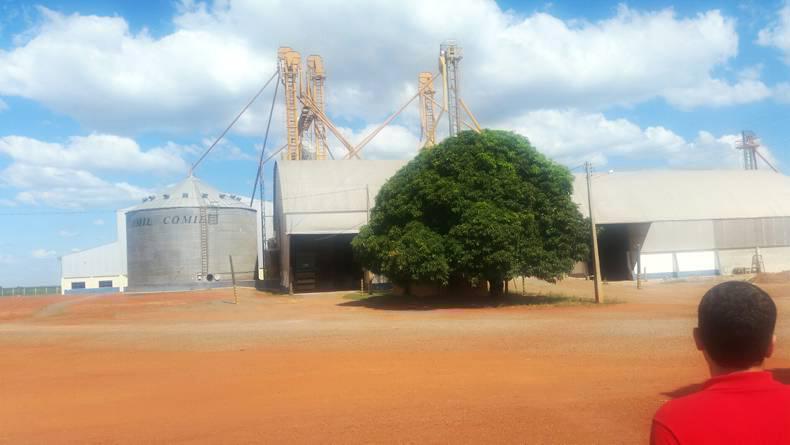 Farmer writes: Why Brazil is the land of the future 