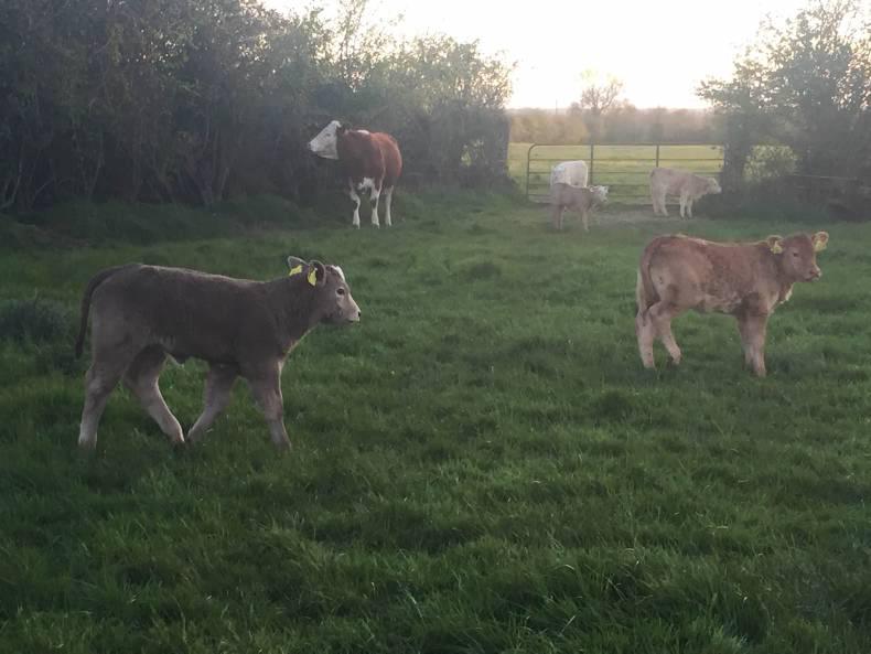 Farmer Writes: a farming blockbuster