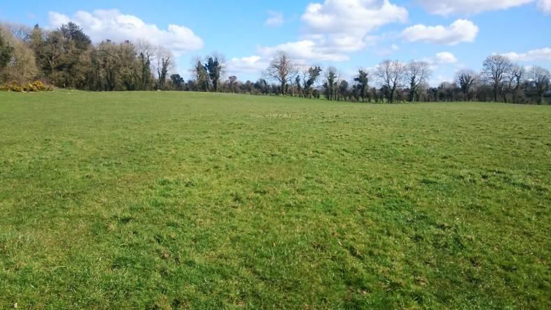 Land Mobility - reviewing your lease