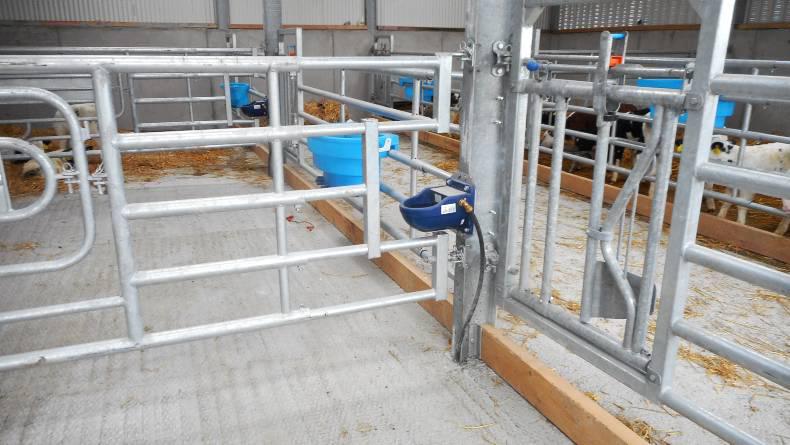 TAMS II approvals by mid-May  