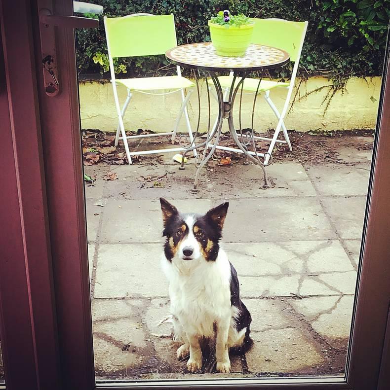 Lambing 2016: reality bites    