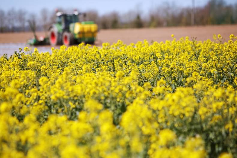 Monday grain market update: downward trend resumes after Friday’s respite