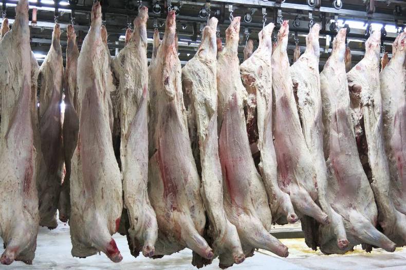 Meat giant JBS prepares to spin off international business Free