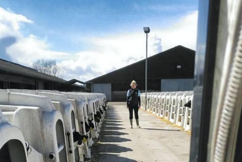 Jodie's blog: Working on a dairy farm in Scotland