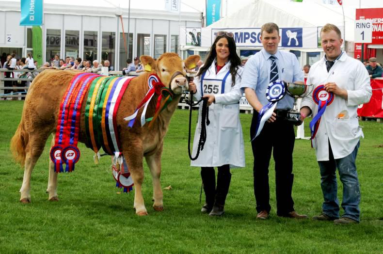 Picture desk - photos from the RUAS Balmoral Show