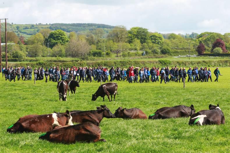 Some 1,500 farmers attended the Greenfield dairy farm open day