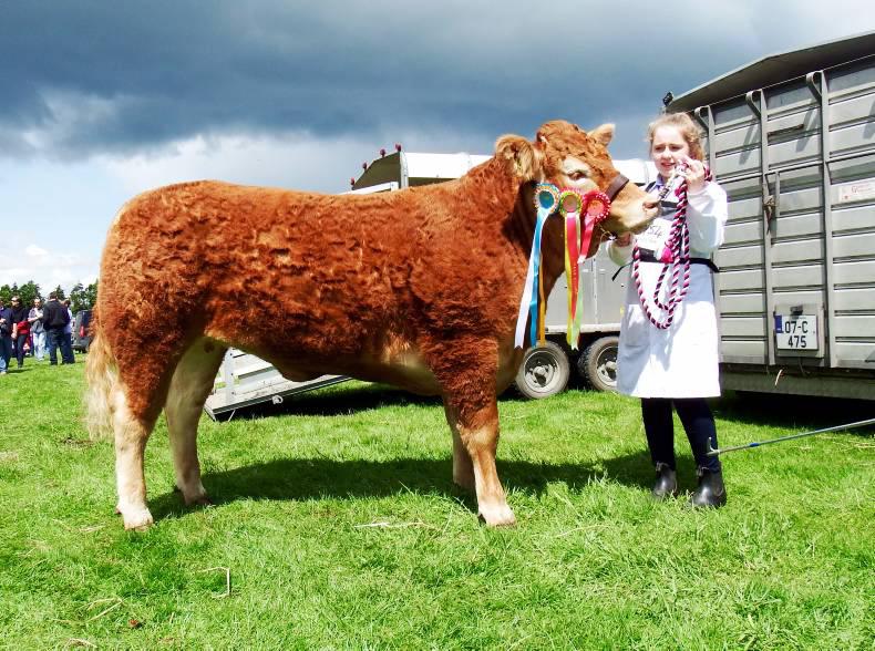 Biggest winners from the cattle section at 2016 Bandon Show