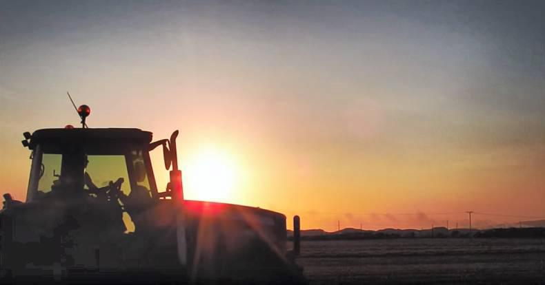 Weekly weather: temperatures to reach high teens 