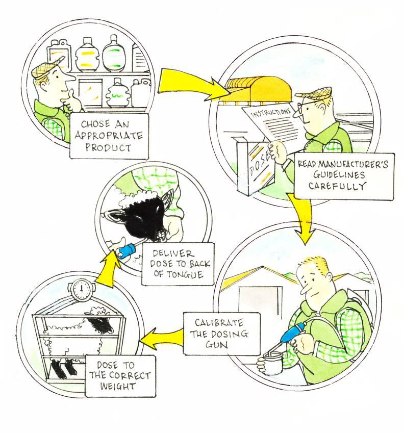 Labs for testing faecal egg counts